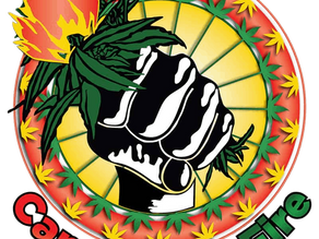 Cannabis is Diversity: Featuring Cannabis on Fire