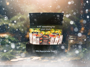 12 days of Christmas: Holiday Gift Guide