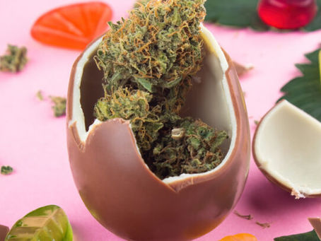 Best Cannabis Edibles for Beginners: Popular Flavors and Value Options