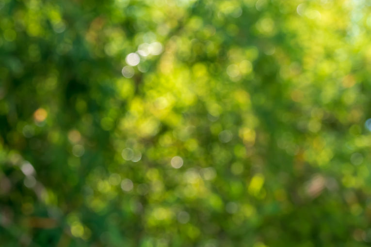 iStock-1402635831.jpg