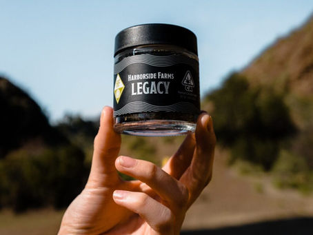 Celebrate Father’s Day: Find The Perfect Cannabis Gift For Your Dad