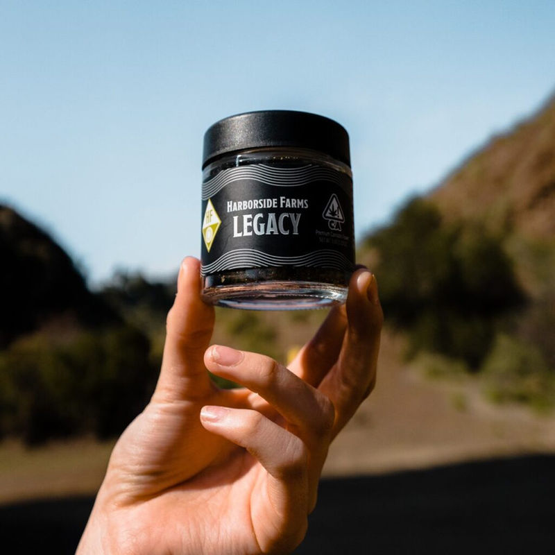 Celebrate Father’s Day: Find The Perfect Cannabis Gift For Your Dad