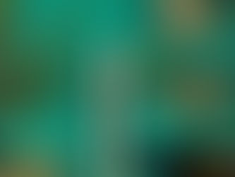 Which Type of Cannabis Should You Choose in Oakland? Vapes, Pre-Rolls, or Tinctures