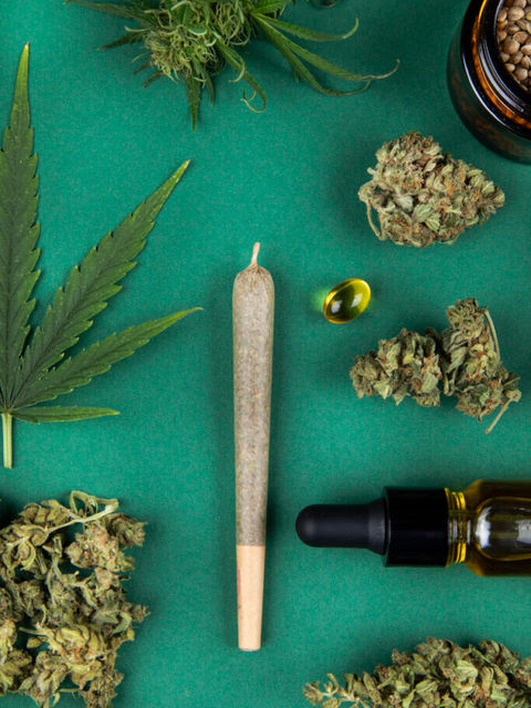 Which Type of Cannabis Should You Choose in Oakland? Vapes, Pre-Rolls, or Tinctures