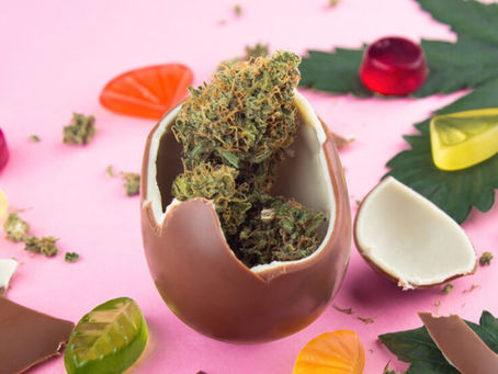Best Cannabis Edibles for Beginners: Popular Flavors and Value Options