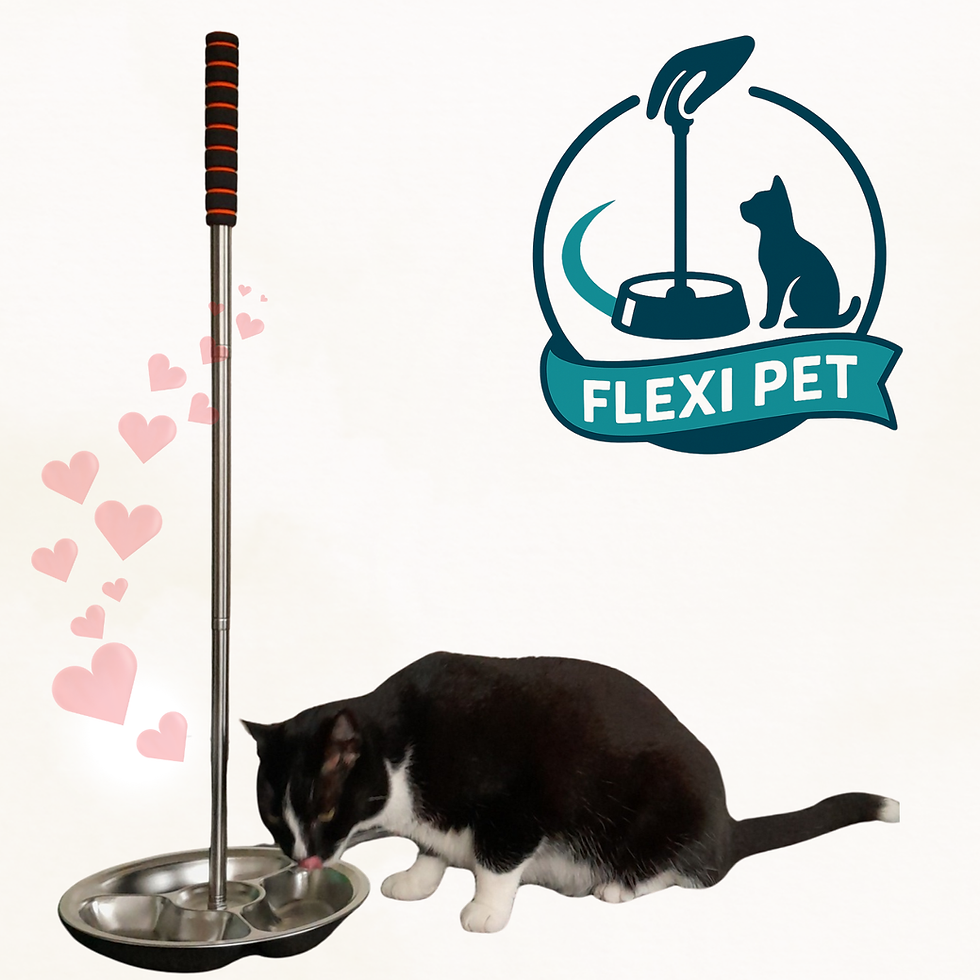 Thumbnail: Flexi pets all rounder