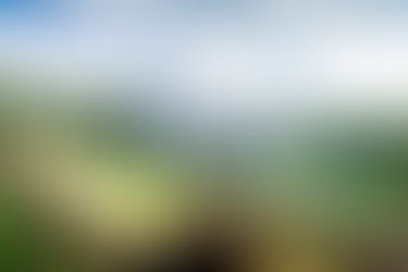 Construction d'une maison unifamiliale basse consommation.