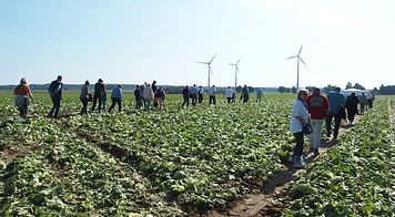 auf-dem-Feld.JPG