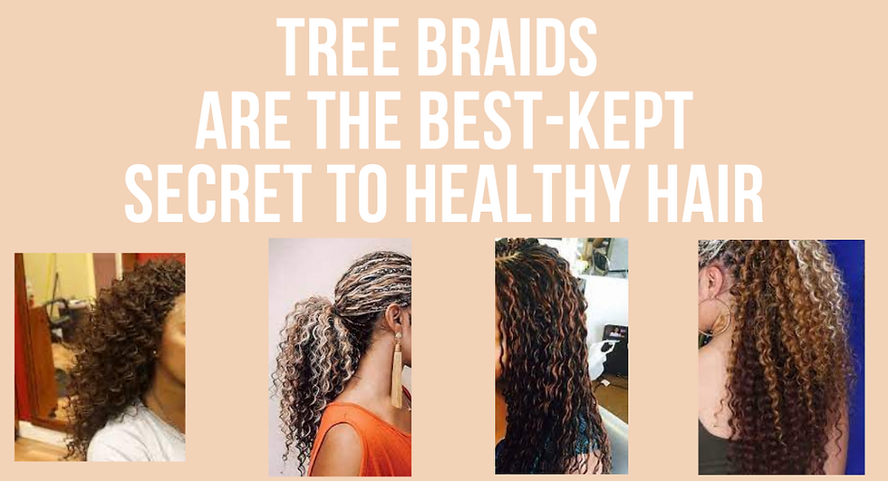Tree braids are a type of hair extension that is achieved by braiding the hair close to the scalp, similar to cornrows. However, instead of the braid being one continuous line, it is made up of small sections or "trees.