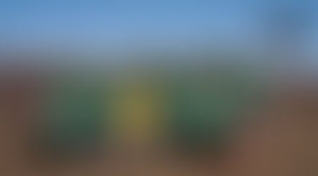 The Game Known as Ultimate Frisbee