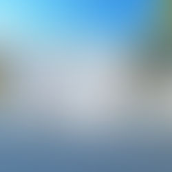 LAで、どうやって友達を作る！？