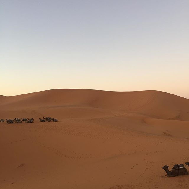 世界は意味づけでできている