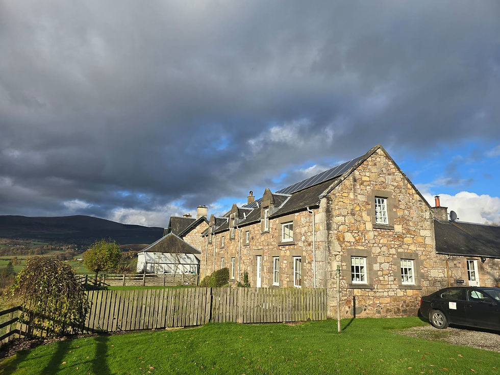 Mindfulness Retreat in July 2026