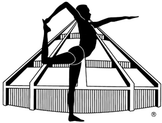 bks-iyengar-yoga__fe50b50325d3659d2c96ad2243e5cbd9.gif