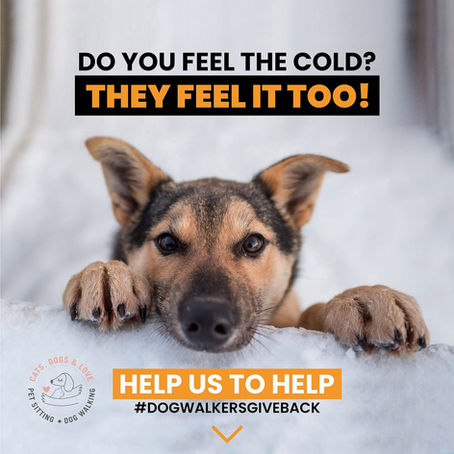 Do you feel the cold?