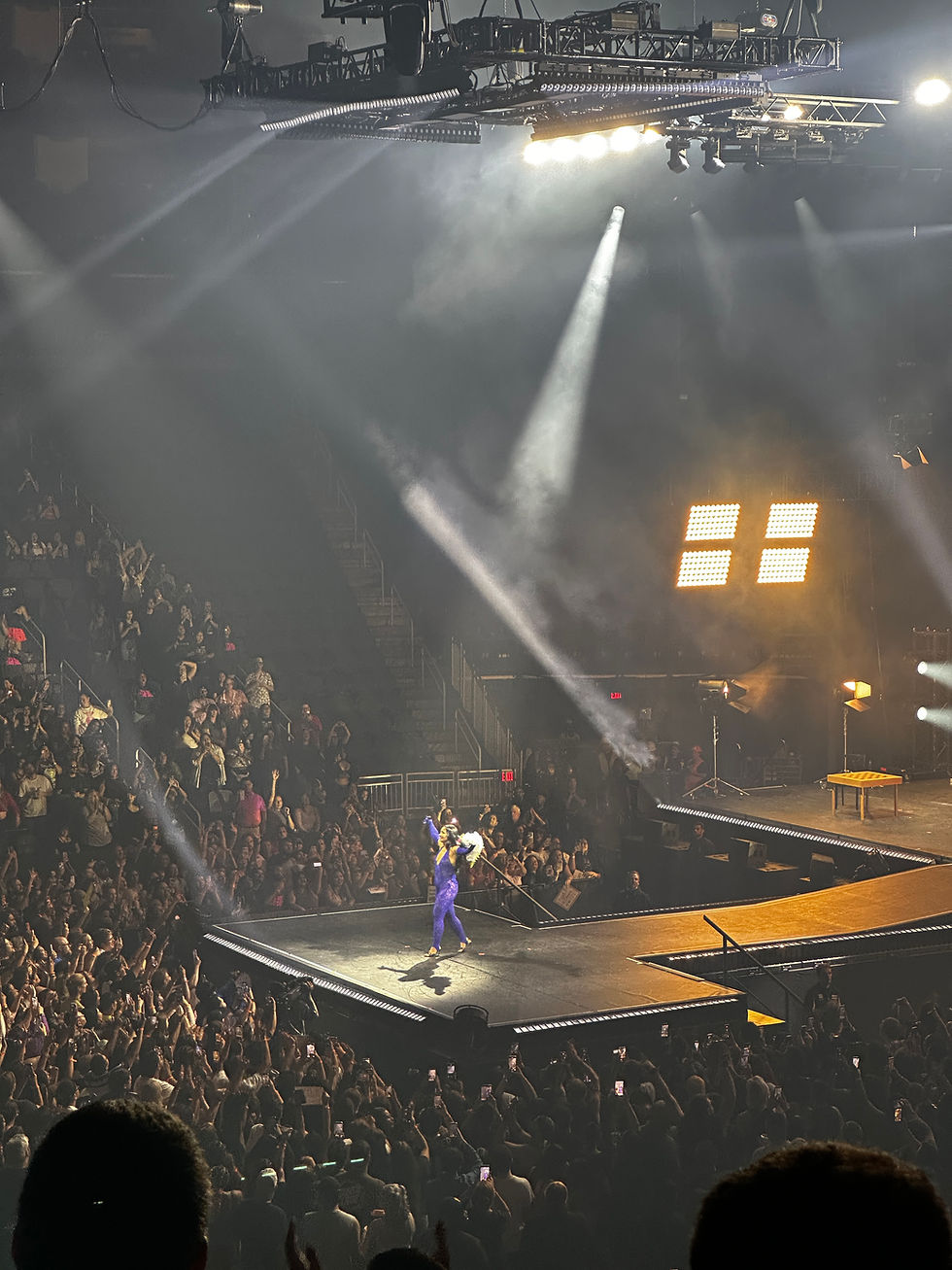 Demi Lovato's Final Bow