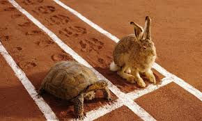 Tortoise and the Hare