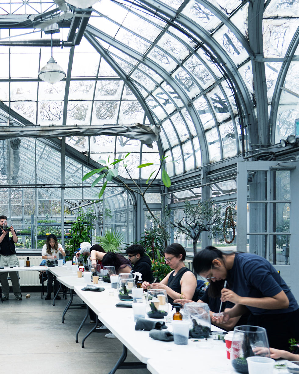 Group terrarium workshop in Toronto with participants building living ecosystems in a greenhouse setting