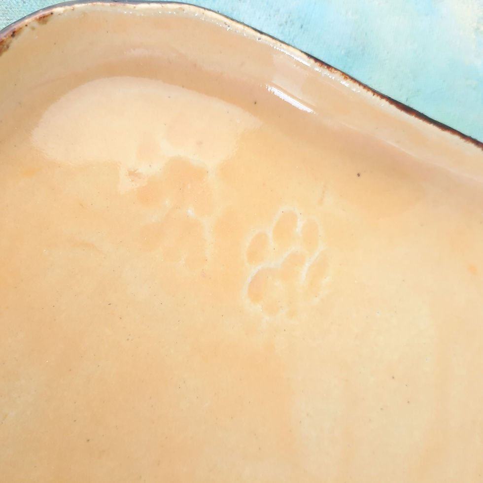 Miniatura: Żółta ceramiczna  patera w kocie łapki