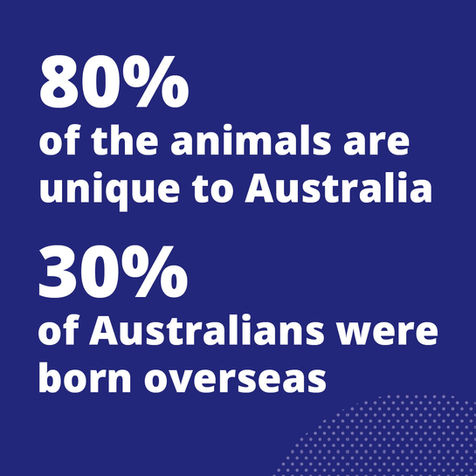 living in australia stats