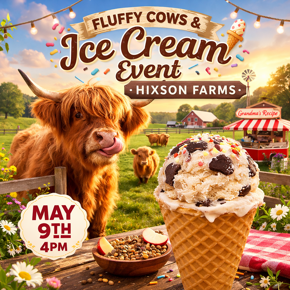 Fluffy Cows and Ice Cream