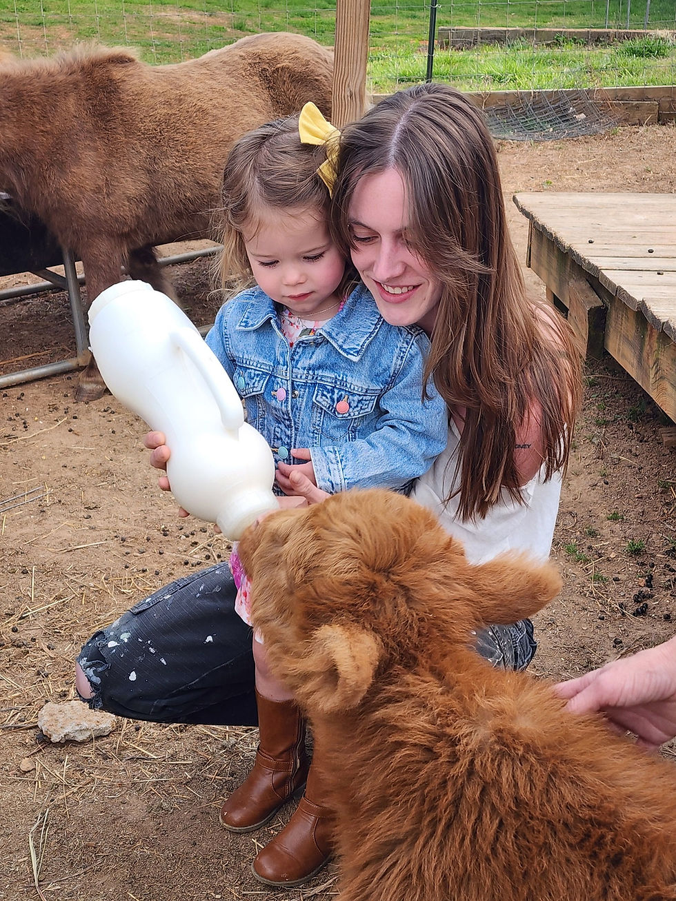 Cuddles with Scarlett and Farm Visit