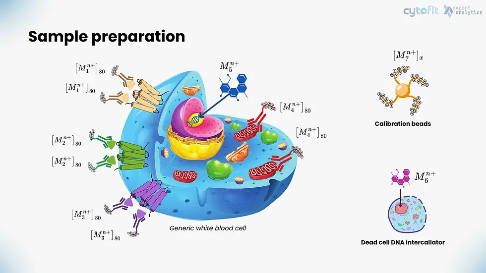 Illustration by Sebastian Franco Ulloa.