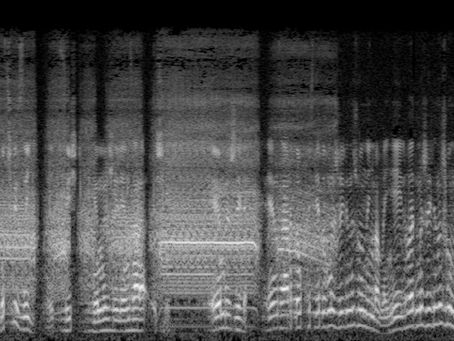 Spectral Analysis and Key Features of Sound Signals