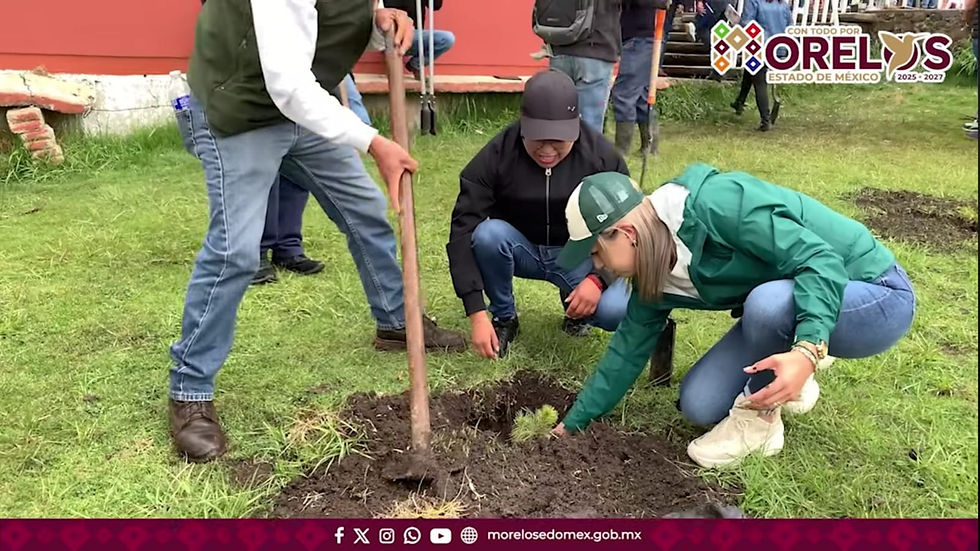 Jornada de reforestación