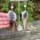 Thumbnail: Feather dusters