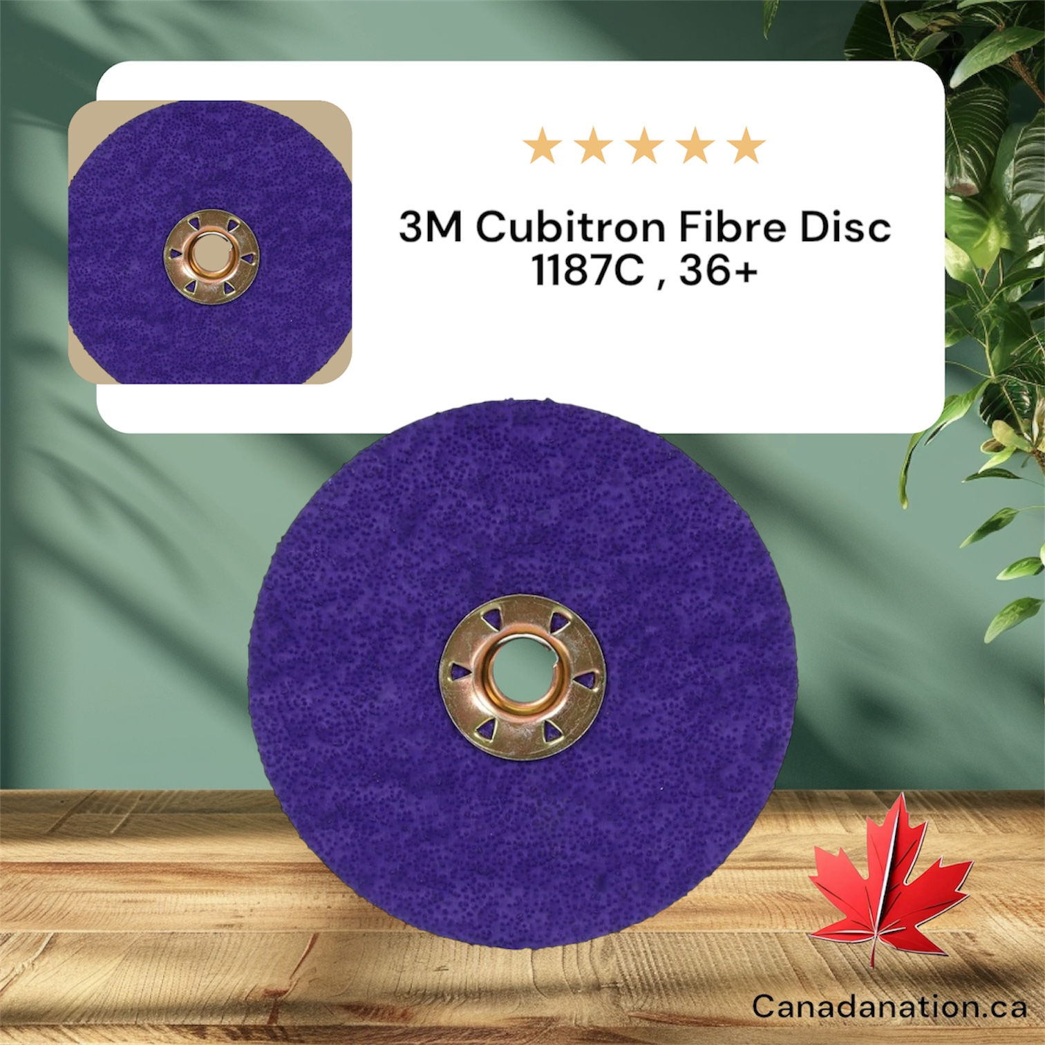 3M Cubitron 3 Fibre Disc 1187C, 36+, 5 in DIA