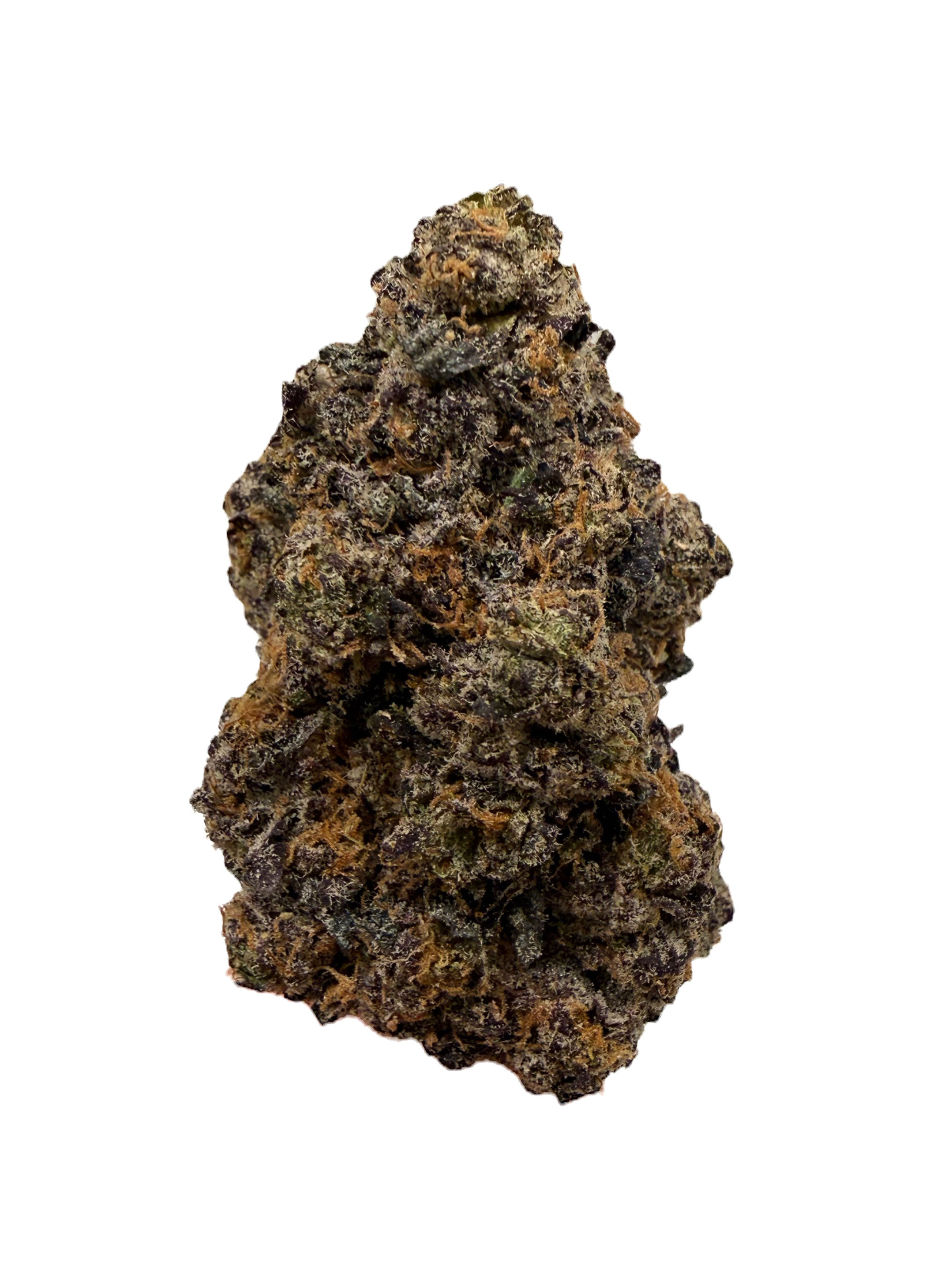 EL CHIVO (EXOTIC)