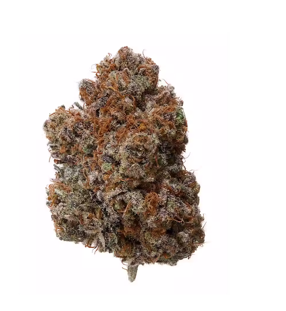 Tier 1 | Wedding Cake | Cannavis Indoor Flower