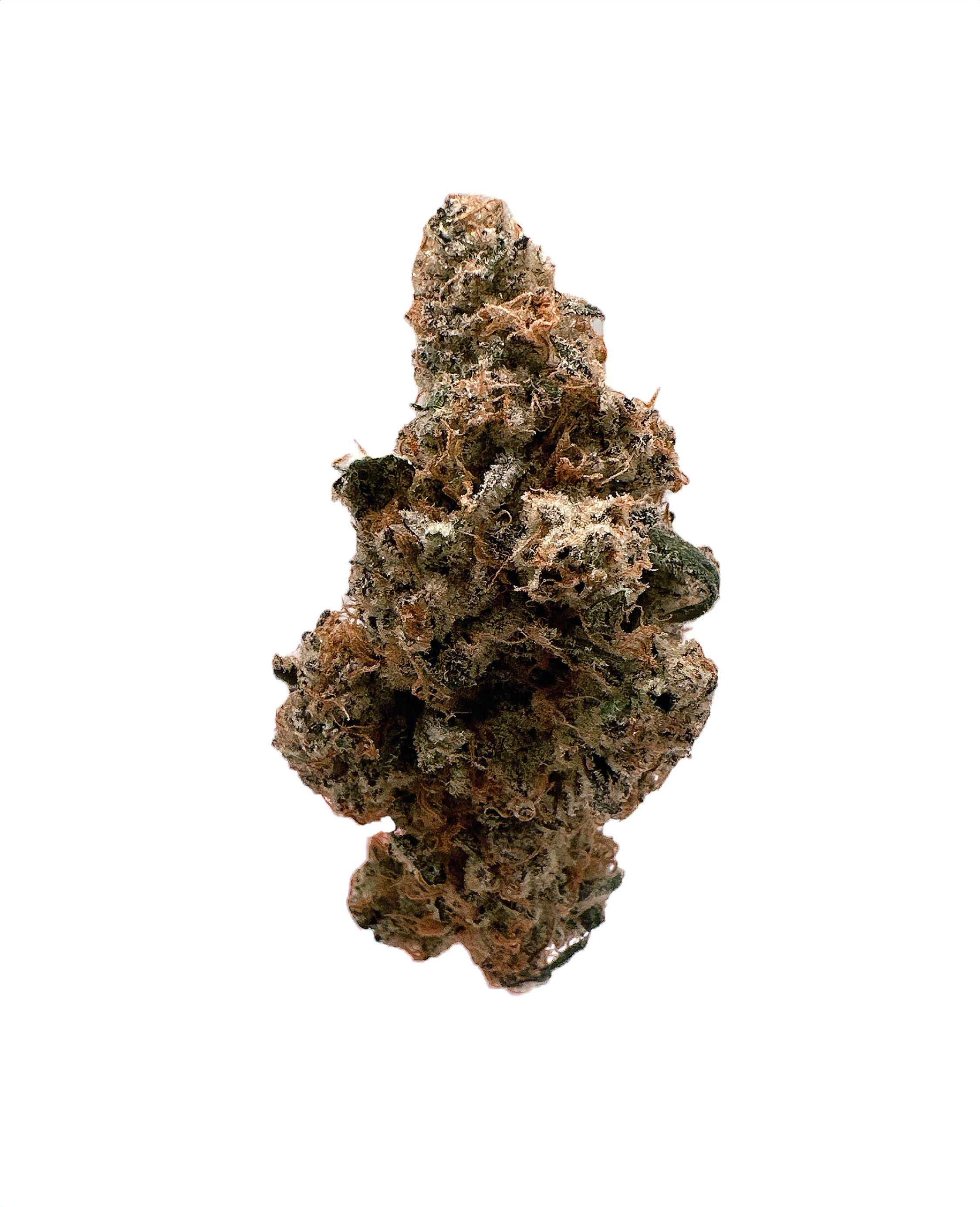 WATERMELON HASHPLANT (VIP)