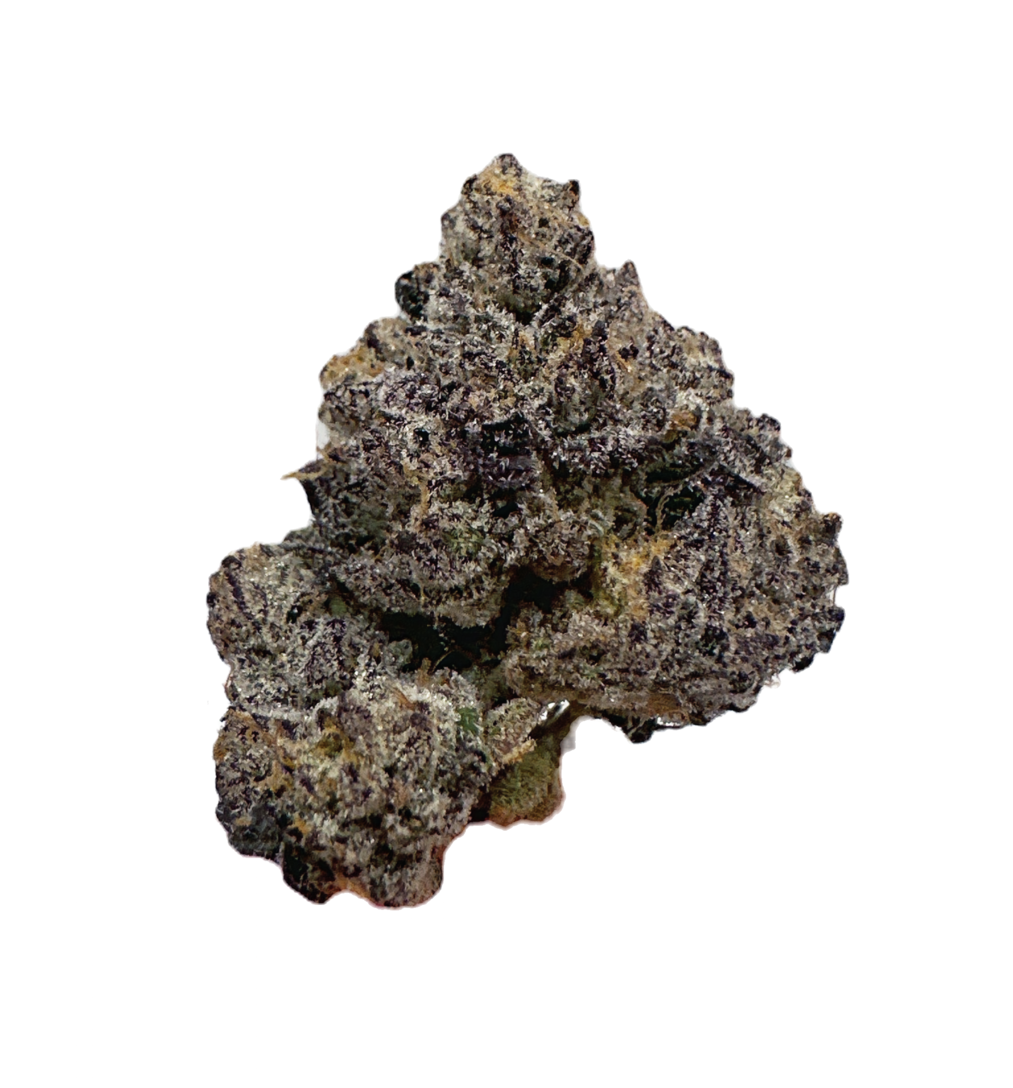 DARK MATTER (VIP)