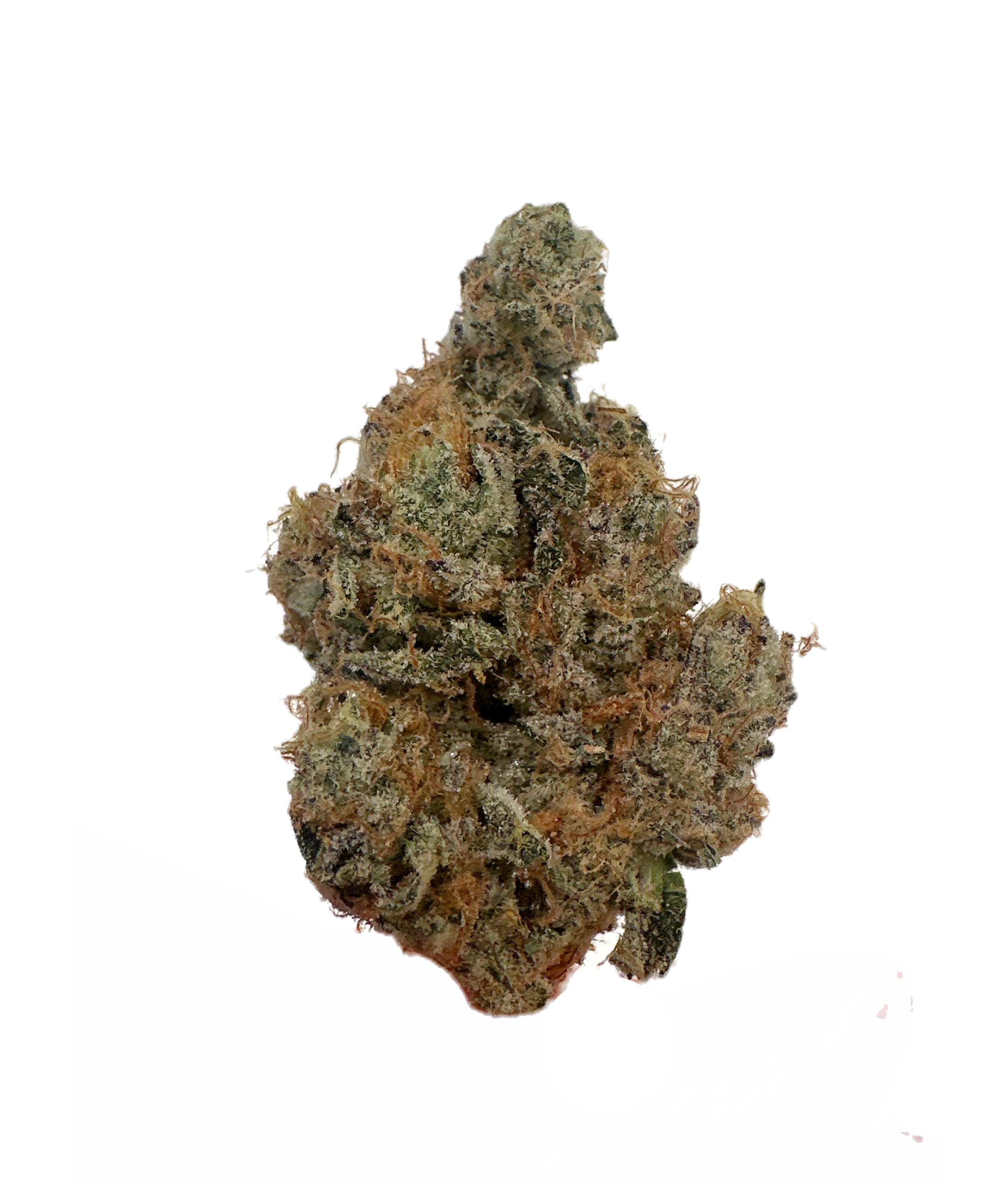 WEST COAST DIESEL (PRIVATE RESERVE)