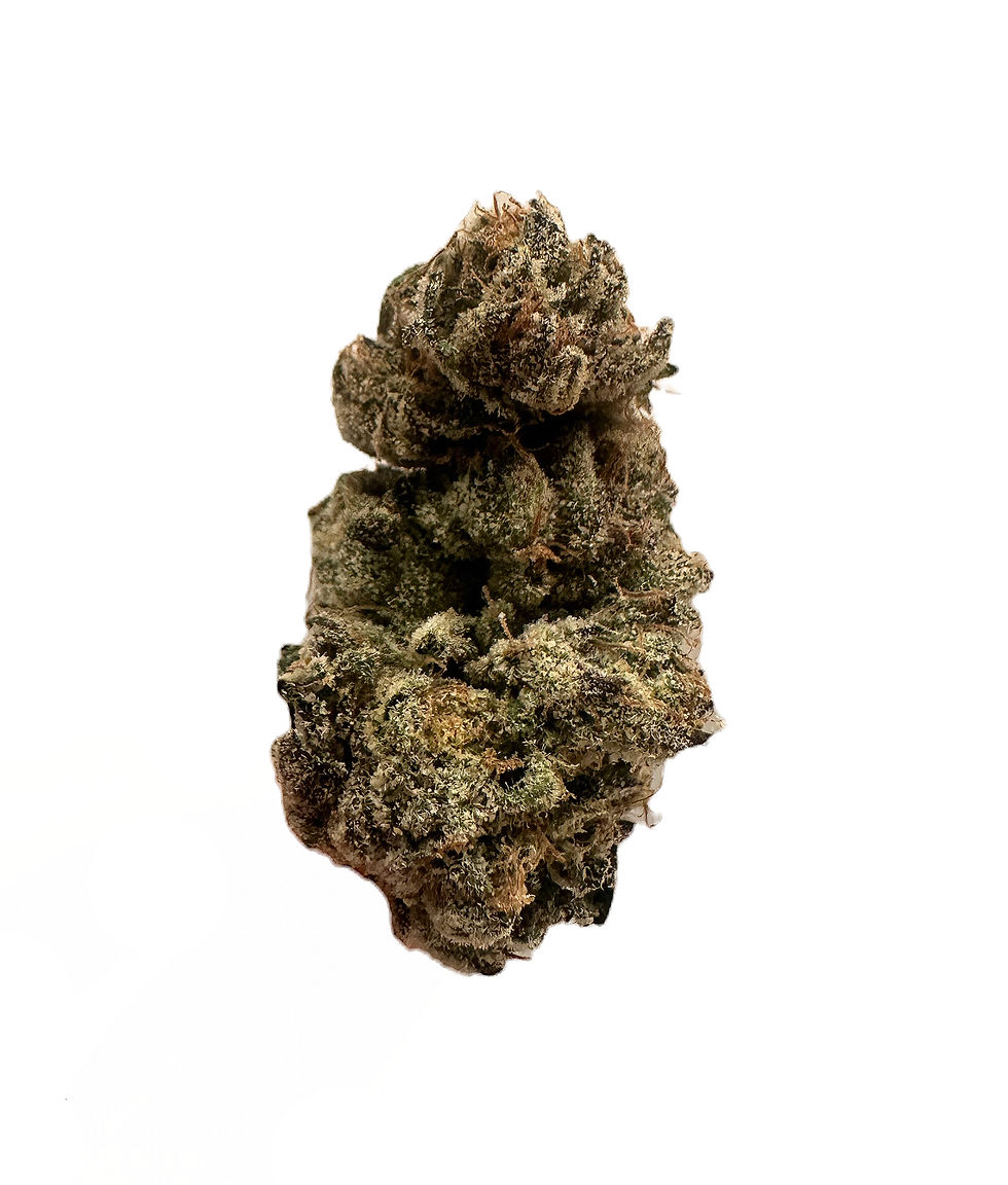 PURPLE TONIC  (EXOTIC)