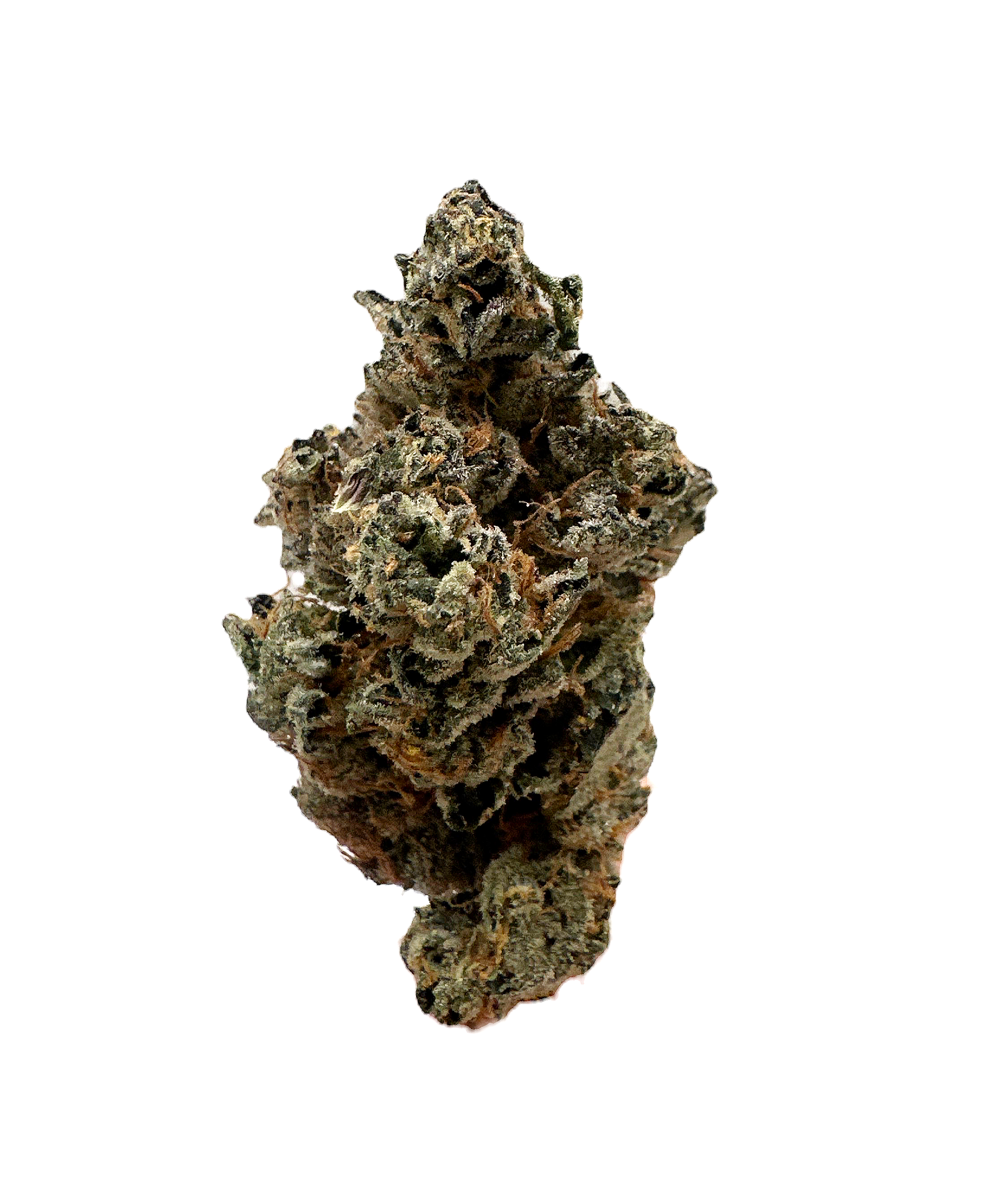 GRAVITY GLUE (EXOTIC)