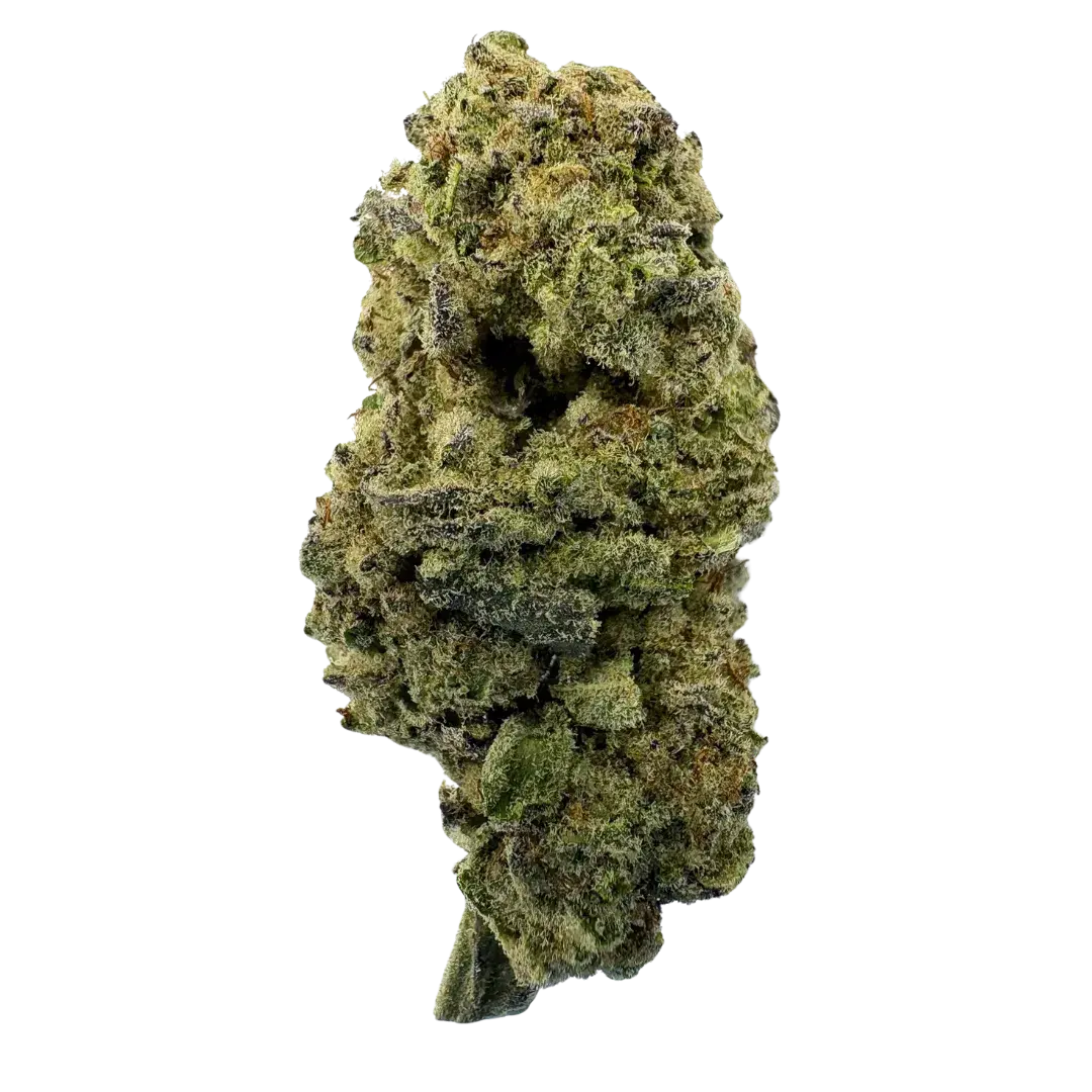 XXX 420