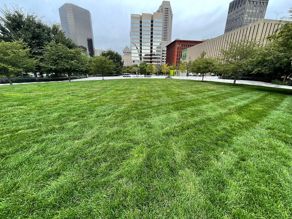 Kiener Plaza