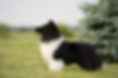 A95CD018-9EC2-4268-8B02-FFB050866FF6.PNG
