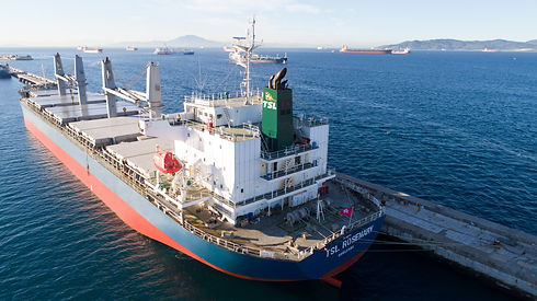 DJI_0103 TSLBULK.COM without name on side of ship_v1_current.jpg