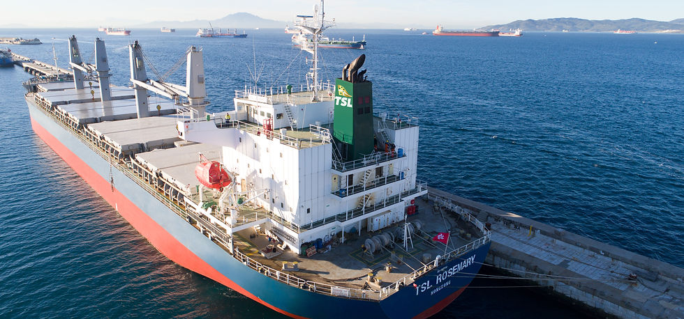 DJI_0103 TSLBULK.COM without name on side of ship_v1_current.jpg