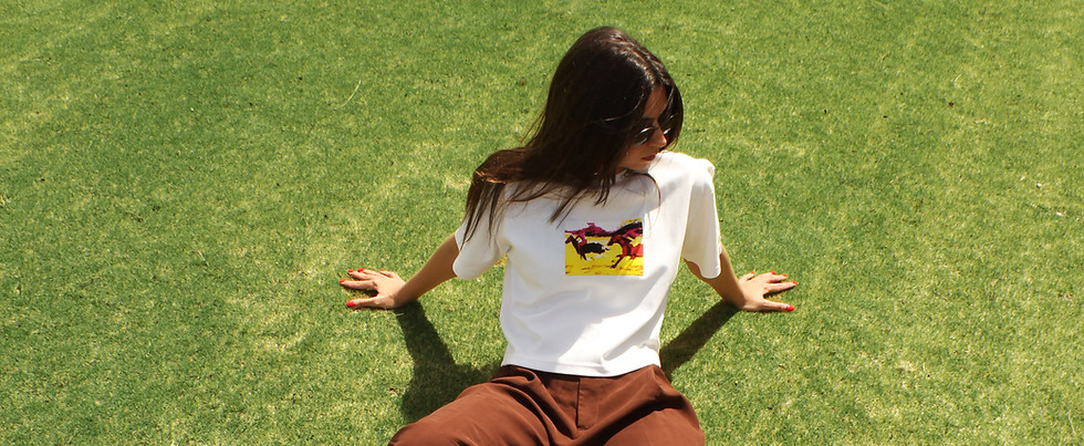 SOBRE ESSA COLECAO.jpg