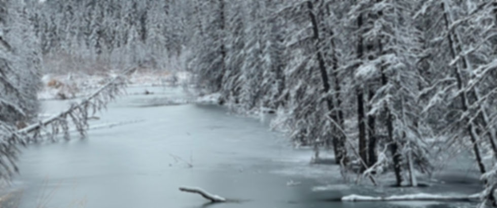 winters-wonder-frozen-creek-fish-creek.JPG