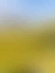 Die Bergarena rund um den Kraftort Engstligenalp