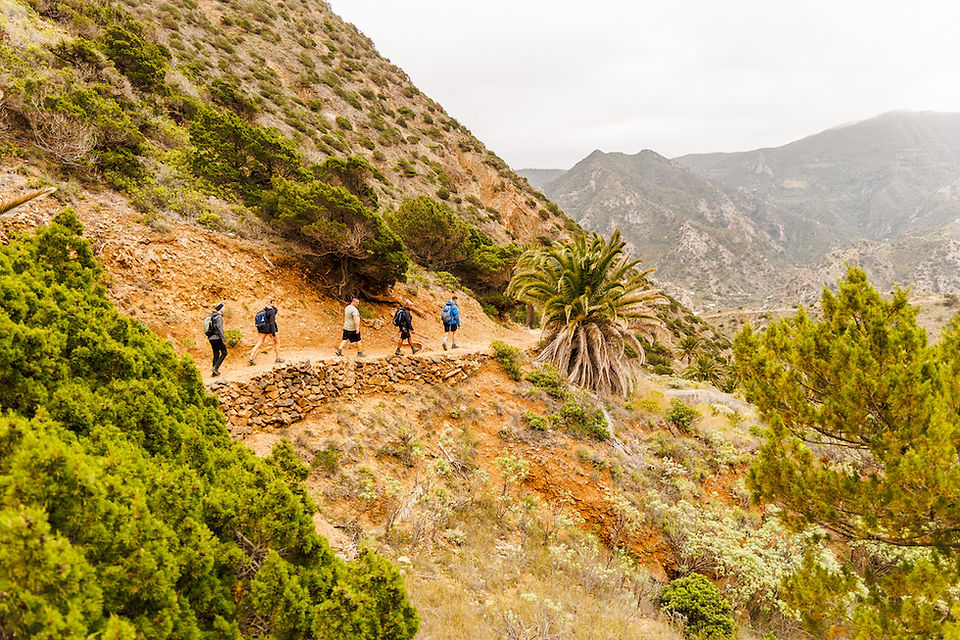 Von Palmen auf die Gipfel und zurück ans Meer – Wandern auf La Gomera