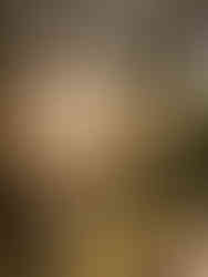 Wandern vor dem Sonnenuntergang