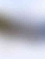 Verschneite Hütten und Berglandschaften in Grindelwald