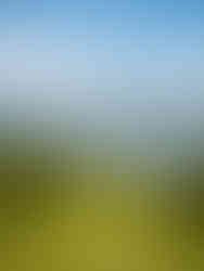 Sachsler Höhenweg mit dem Sarnensee im Hintergrund